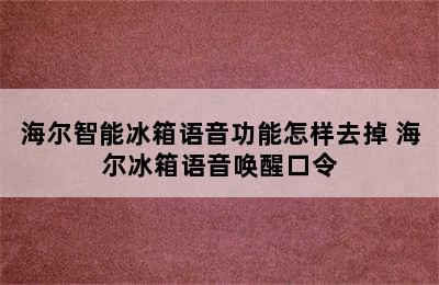 海尔智能冰箱语音功能怎样去掉 海尔冰箱语音唤醒口令